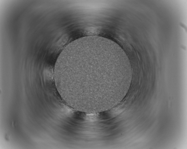X0000096130240200802081332