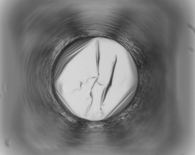 X0000096130241200802081332