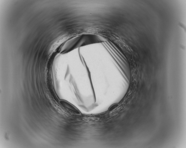 X0000096130242200802081332