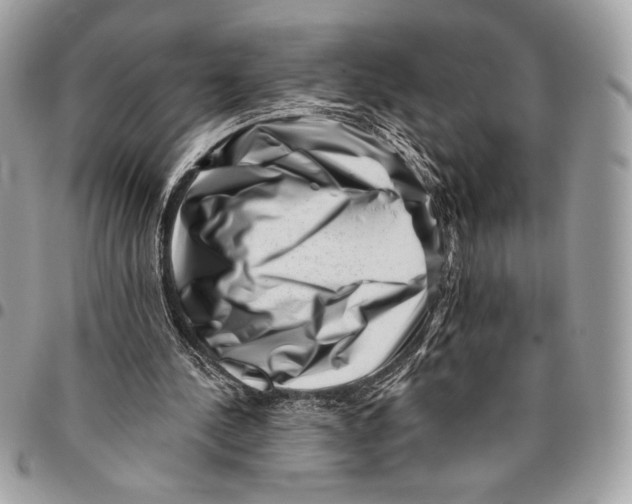 X0000096130244200802081332