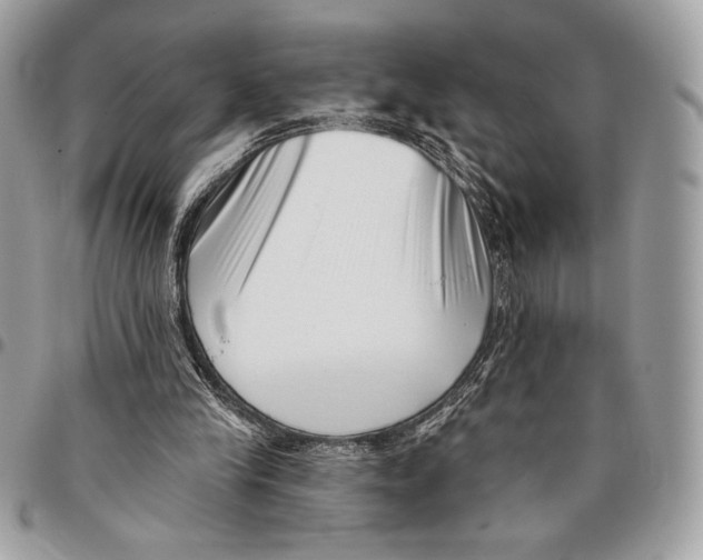 X0000096130245200802081332