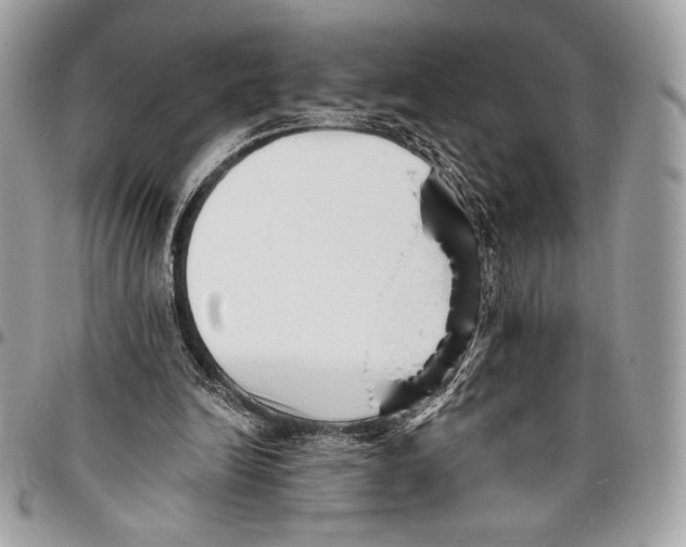 X0000096130246200802081332