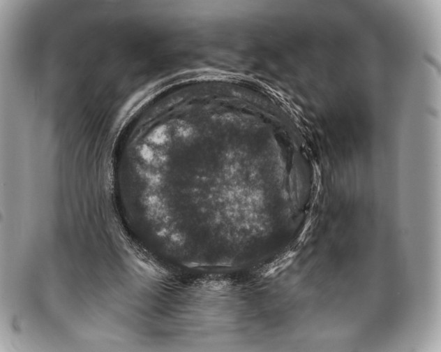 X0000096130247200802081332
