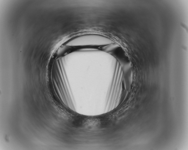 X0000096130248200802081332