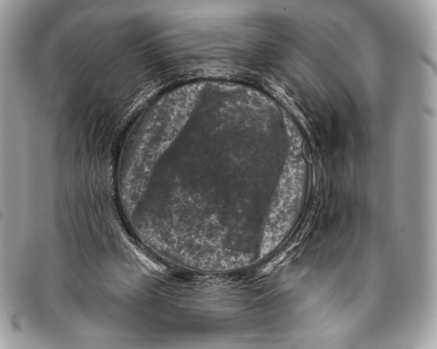 X0000096130249200802081332