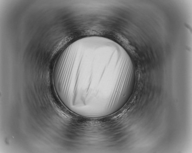 X0000096130250200802081332