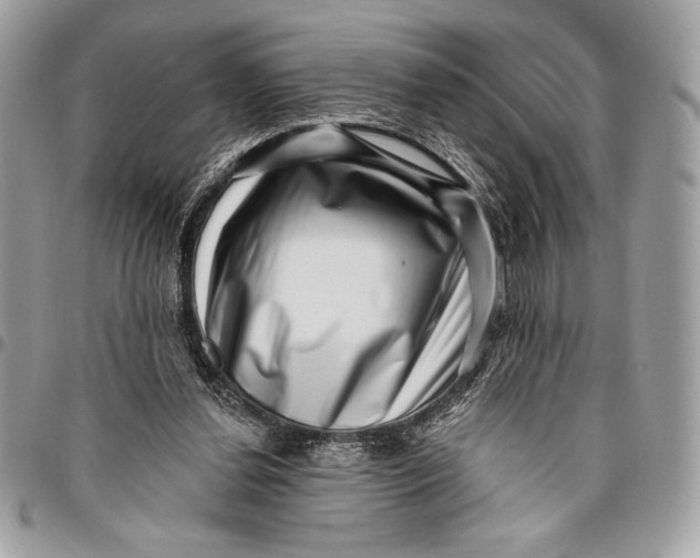 X0000096130252200802081332