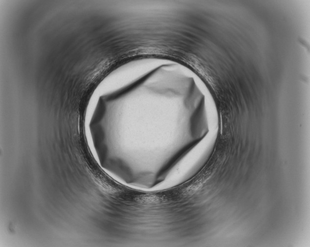 X0000096130253200802081332