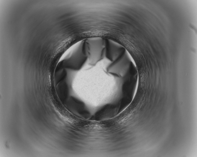 X0000096130254200802081332