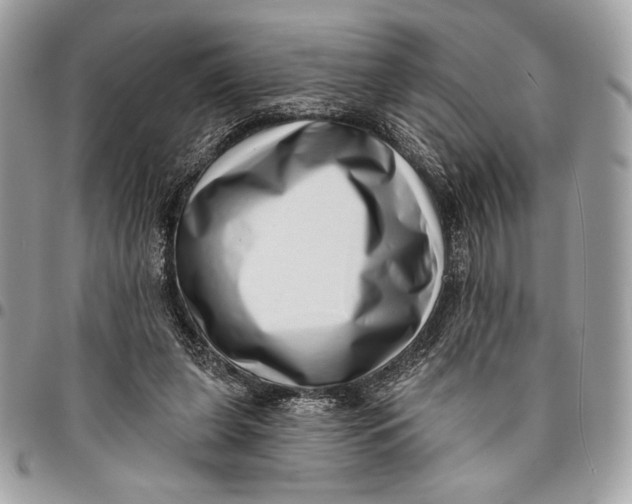 X0000096130255200802081332