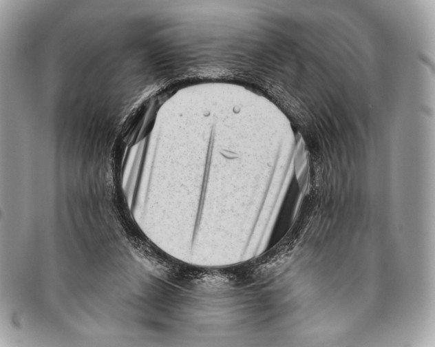 X0000096130256200802081332