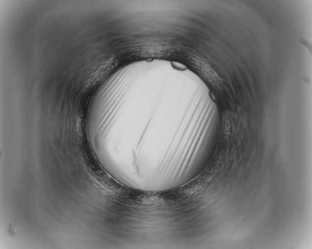 X0000096130258200802081332