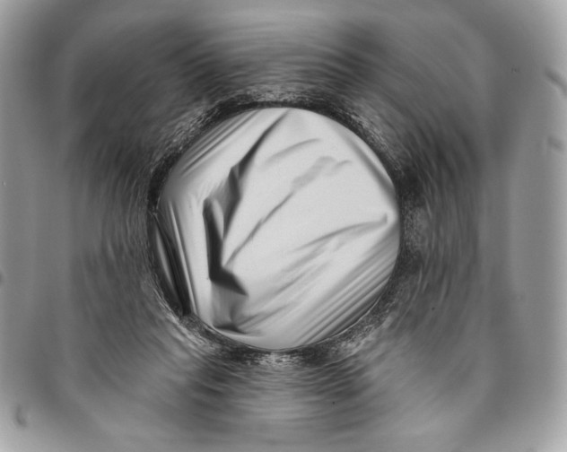 X0000096130261200802081332