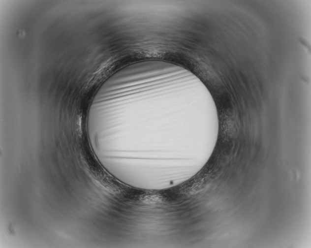 X0000096130262200802081332