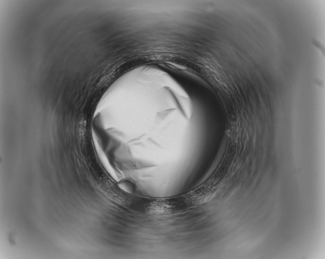 X0000096130263200802081332