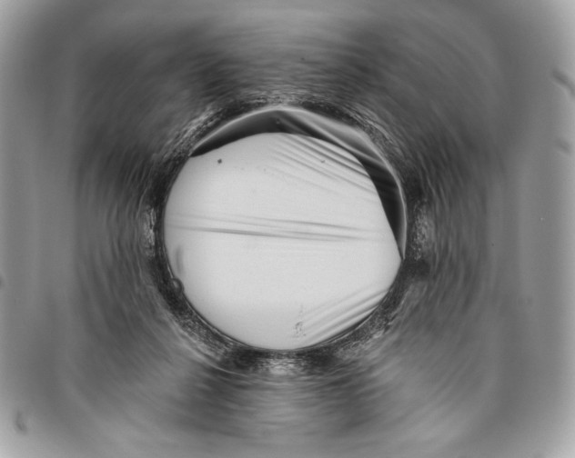 X0000096130264200802081332