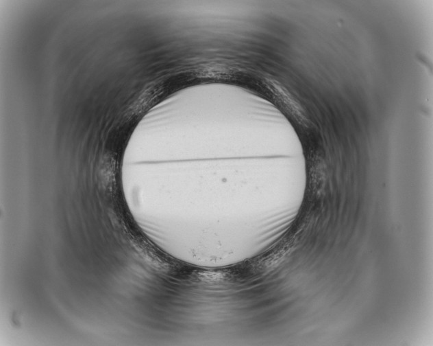 X0000096130265200802081332