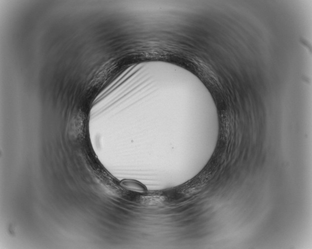 X0000096130266200802081332