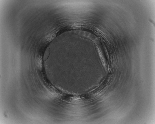 X0000096130267200802081332