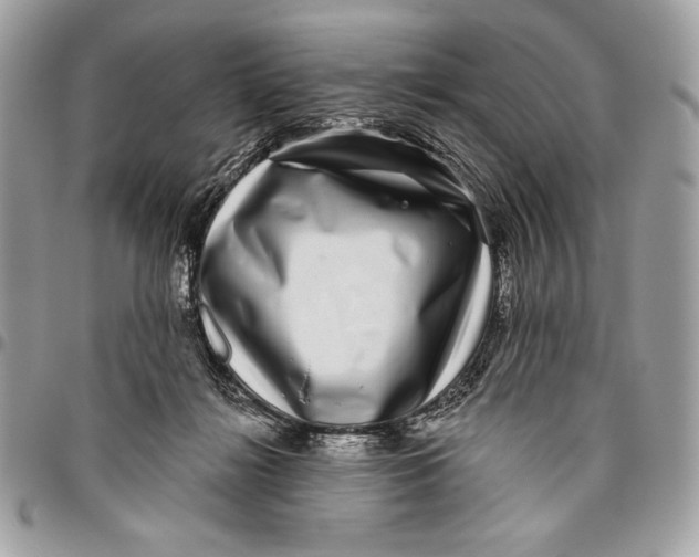 X0000096130268200802081332