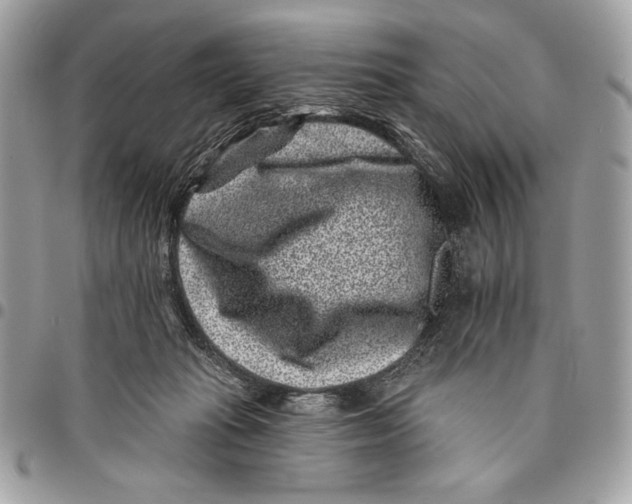 X0000096130269200802081332