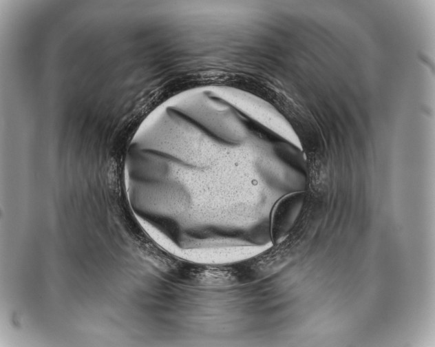 X0000096130270200802081332