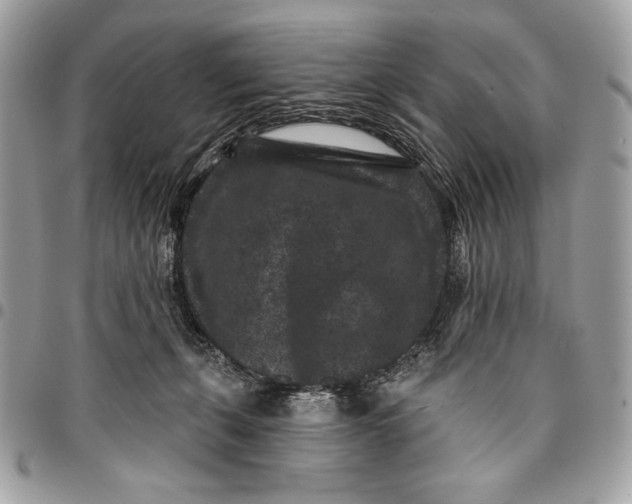 X0000096130271200802081332