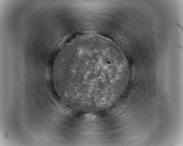 X0000096130272200802081332