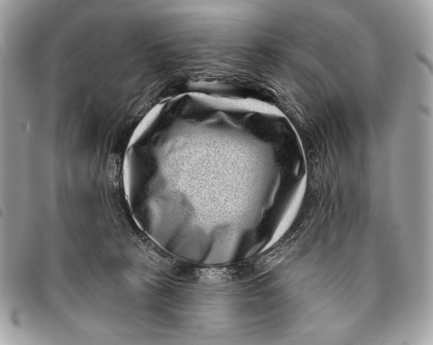 X0000096130273200802081332