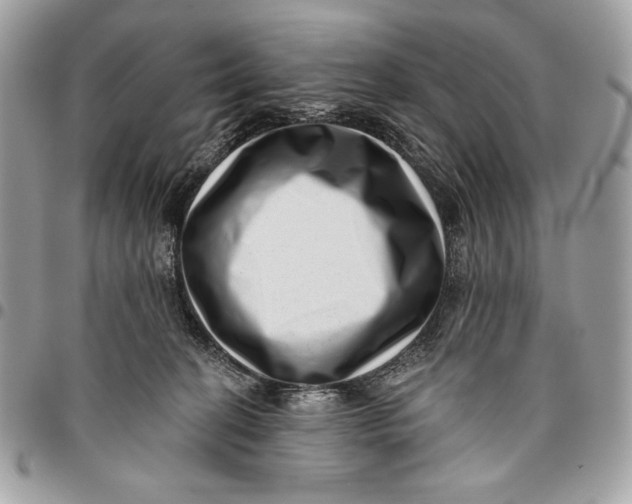 X0000096130274200802081332