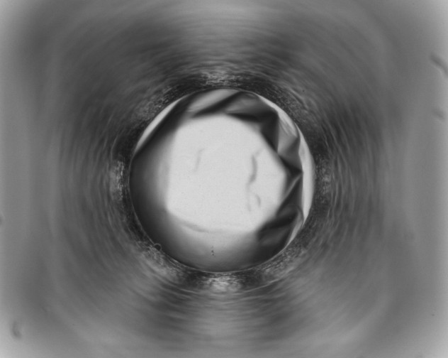 X0000096130275200802081332