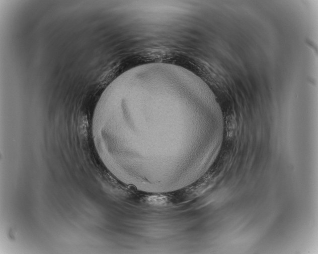X0000096130279200802081332