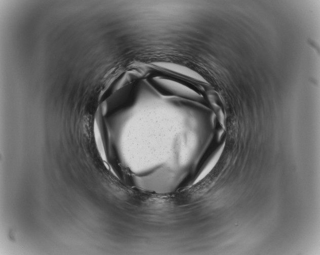 X0000096130280200802081332