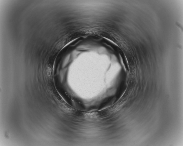 X0000096130281200802081332