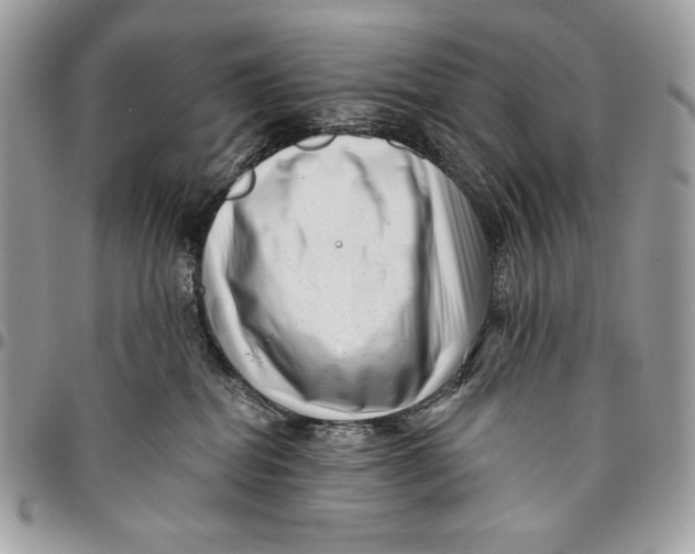 X0000096130282200802081332