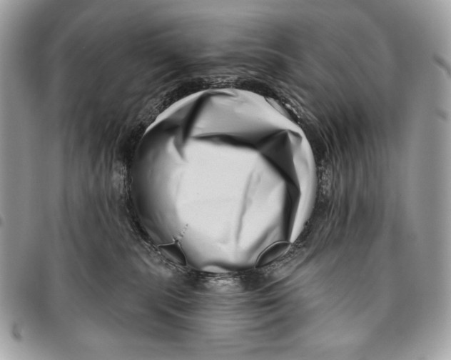 X0000096130283200802081332