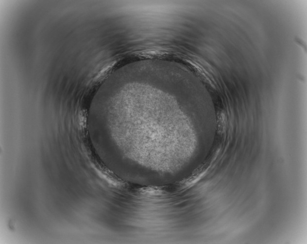 X0000096130284200802081332