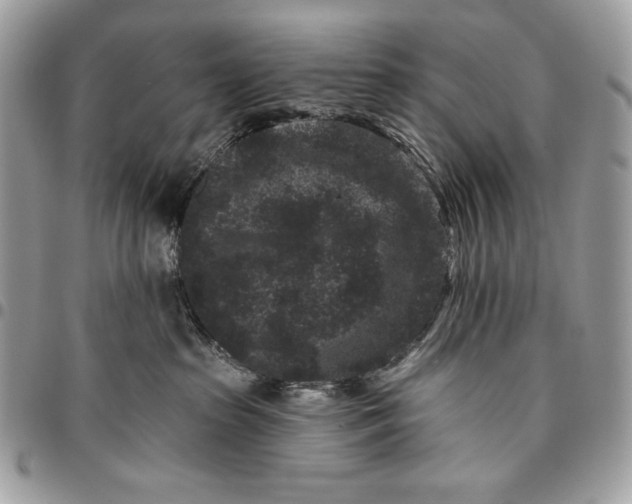 X0000096130285200802081332