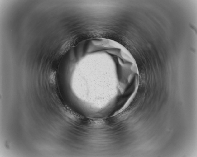 X0000096130286200802081332