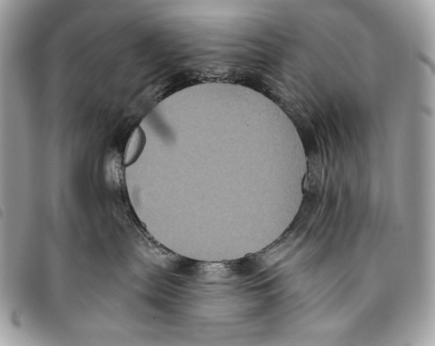 X0000096130287200802081332