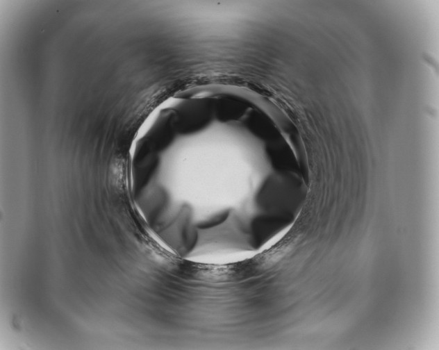 X0000096130288200802081332