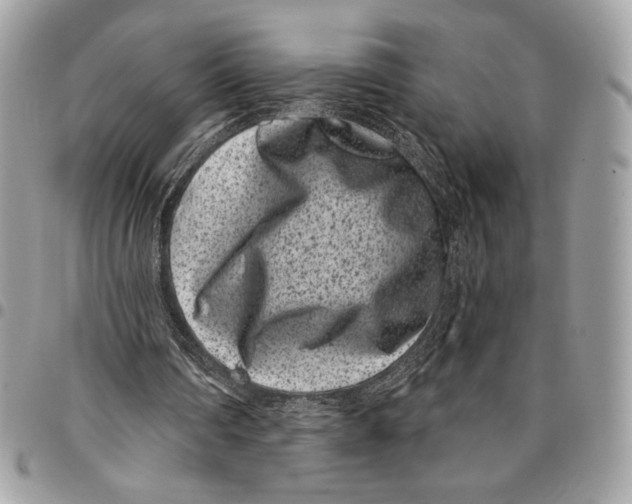 X0000096130290200802081332