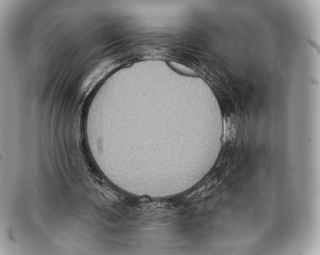 X0000096130291200802081332