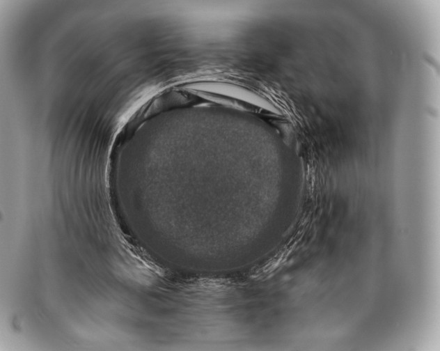 X0000096130292200802081332