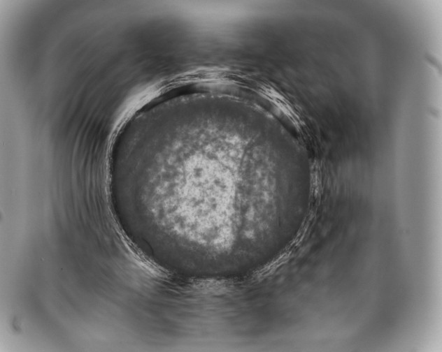 X0000096130293200802081332