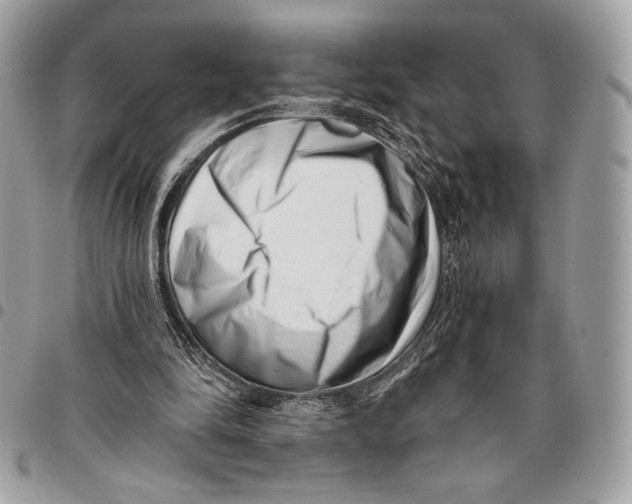 X0000096130294200802081332