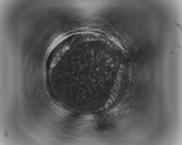 X0000096130295200802081332