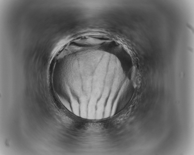 X0000096130296200802081332