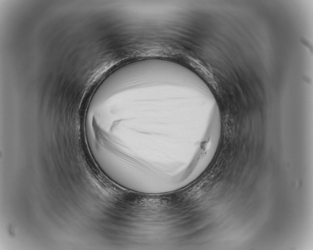 X0000096130298200802081332