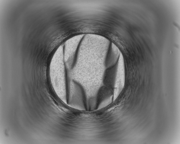 X0000096130299200802081332